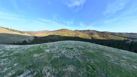 NHN McLaughlin Creek Road