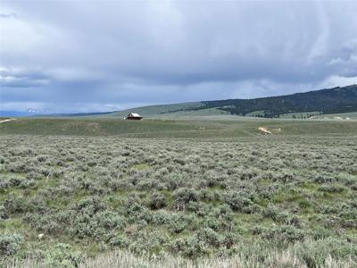 Tract 10 Steel Creek Road