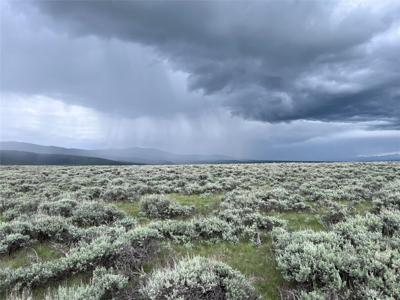 Tract 33 Monte Drive