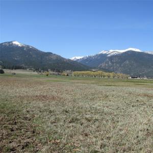NHN Meridian Road