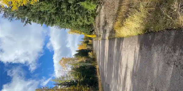 499 Haskill Ranch Road