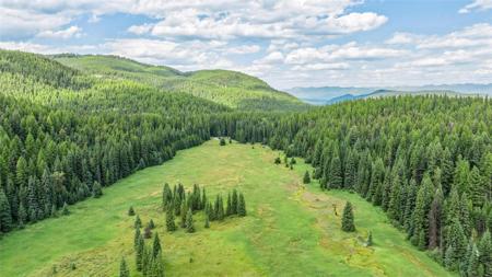 NHN Mountain Meadow Road