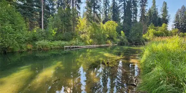 174 Double Creek Lane
