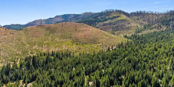 Nhn McGinnis Meadows - Bayhorse Road Section 5