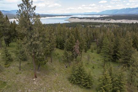 Lot 2 Elk Camp