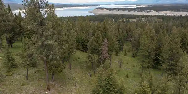 Lot 2 Elk Camp