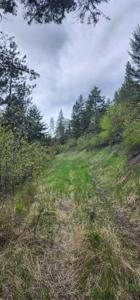 NHN Copper Ridge Road