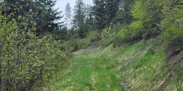 NHN Copper Ridge Road