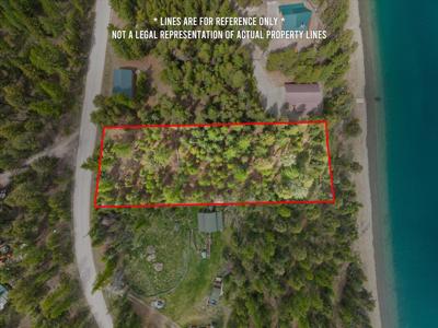 1015 Lodgepole Drive