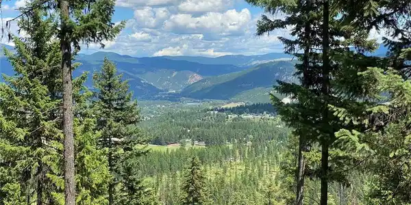 NHN Panoramic View Drive