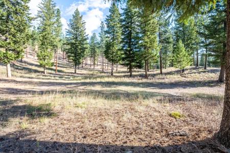Lot 15 Muddler Court