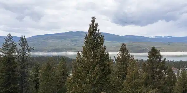 Lot 2 Elk View Estates