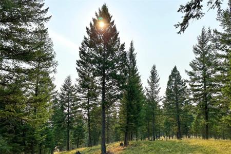 30.25 Acres Fortine Creek Road