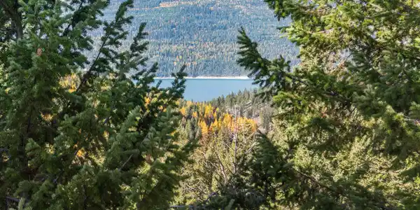 NHN Paradise Ridge Road