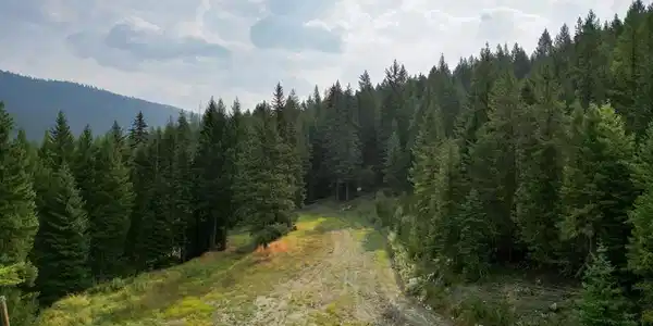 1396 Warland Creek Road