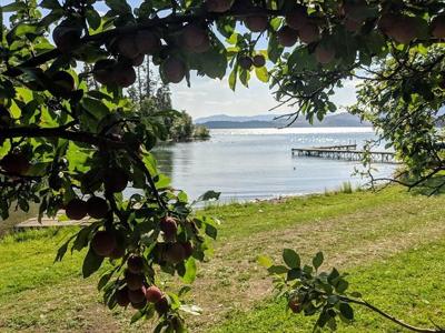 41322 Mello Cove Lane