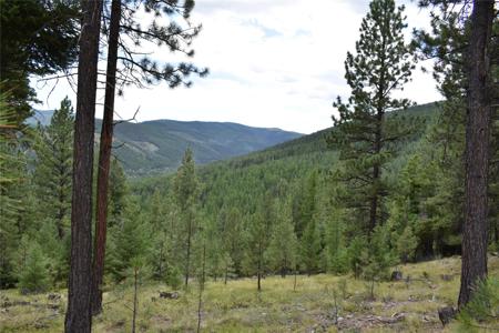 NHN Wild Bill Road