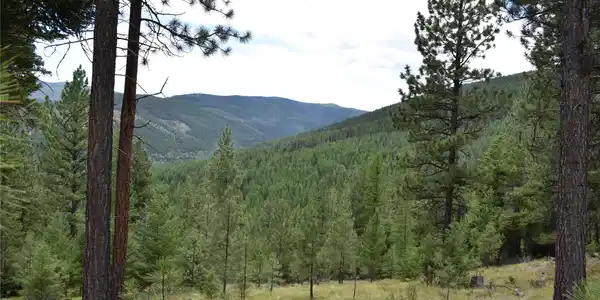 NHN Wild Bill Road
