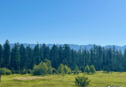 428 Bear Trail