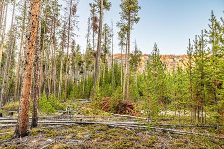 Lot 2 TBD Harris Road