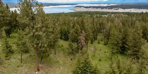 1 Elk View Estates