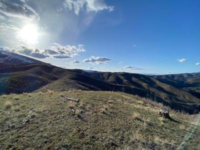 Tbd Hwy 93 S
