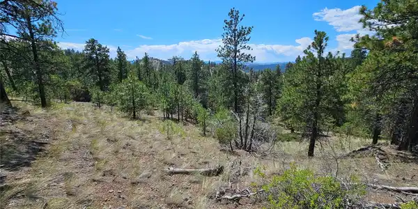 NHN Upper Sawmill Creek Road