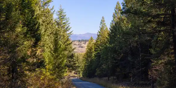 Nhn Gut Creek Road