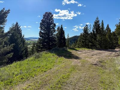 TBD (5.37+/- acres) Gold Coin Lane