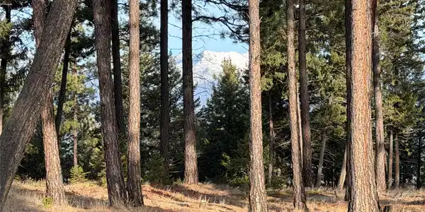 NHN Hillandale Trail