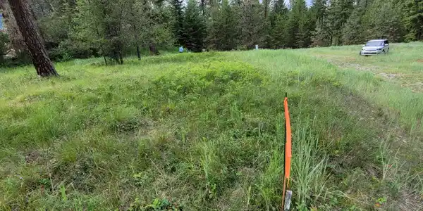 NHN Mossy Rock Court