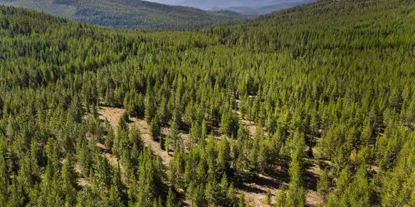 NHN Elk Creek - McGinnis Meadows Road Section 11
