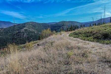 NHN W Fork Combest Creek Road