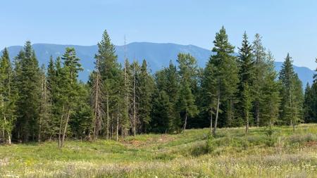 1068 Larch Ridge Trail