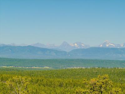 NHN Mountain Meadow Court