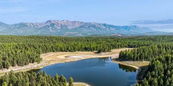 3217 Loon Lake Road