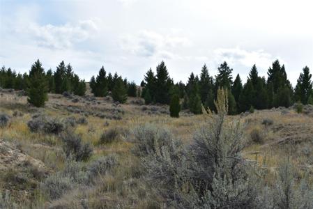 tbd Indian Paint Brush Road