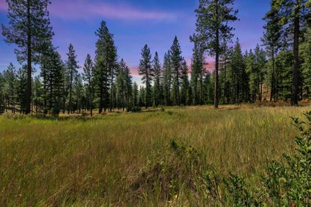 13902 Highland Trail