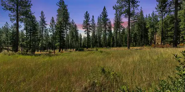 13902 Highland Trail