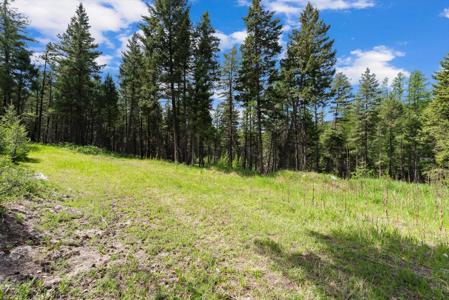433 Buffalo Trail