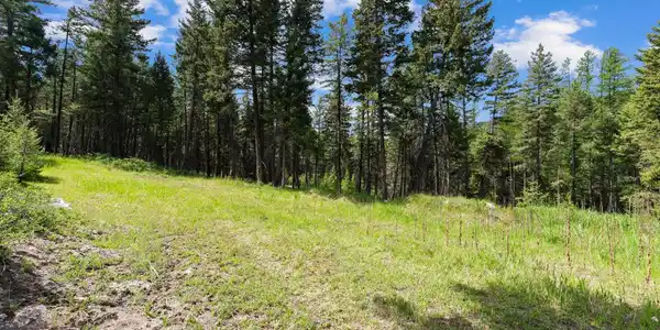 433 Buffalo Trail