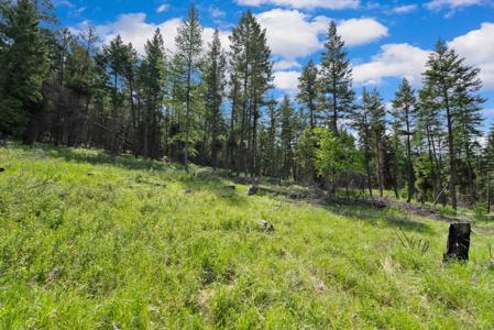 437 Buffalo Trail