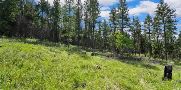 437 Buffalo Trail