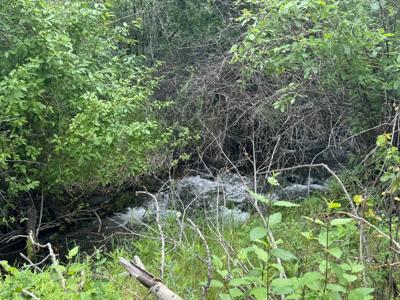 NHN Middle Burnt Fork Road
