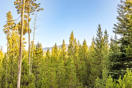 Lot 10 TBD Harris Road