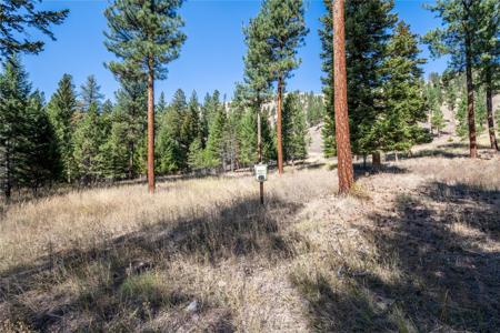 Lot 19 Caddisfly Court