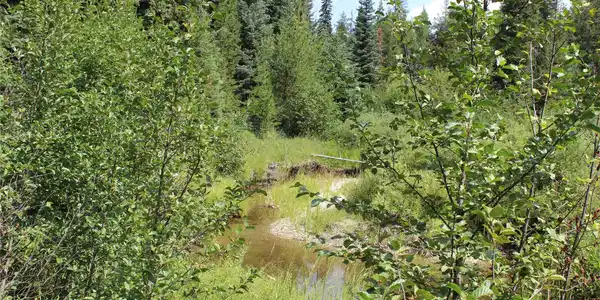 3380 Swamp Creek Road