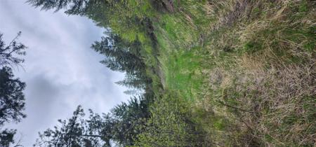 NHN Copper Ridge Road