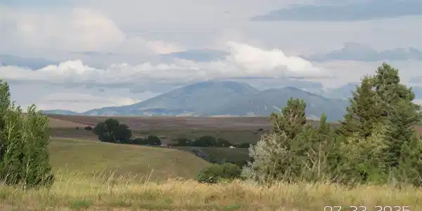 8377 US Highway 89