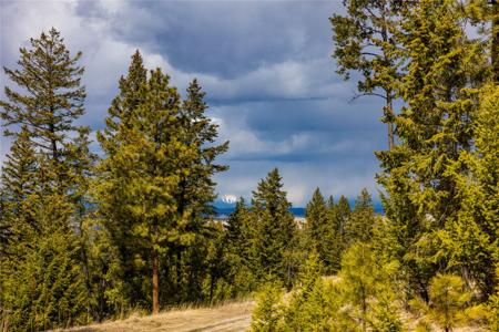 1243 Tobacco Valley View Road